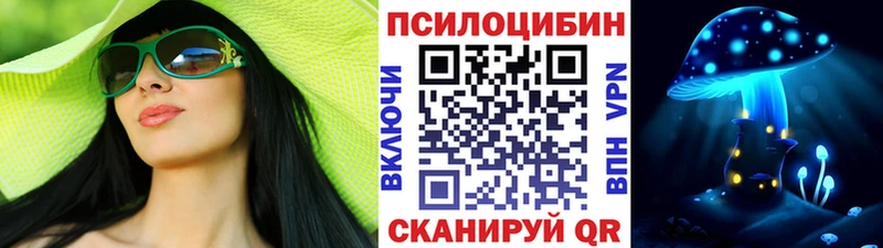 Псилоцибиновые грибы Cubensis  Брянск 